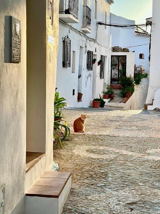 Pensjonat El Corralon Frigiliana Zewnętrze zdjęcie